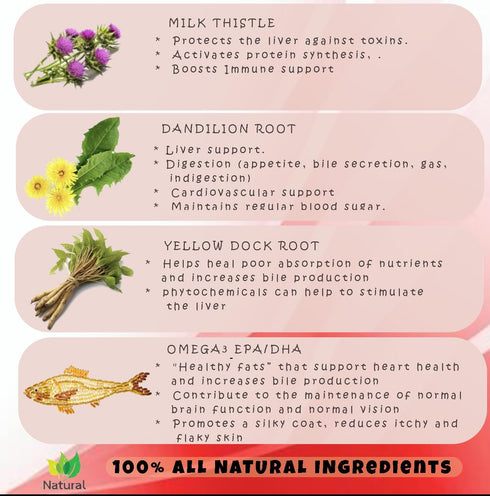 Milk Thistle for Dogs - 180 Chewable Tablets - Canine Liver and Kidney Support Supplement for Dogs - Detox for Dogs - Liver Supplement for Dogs...