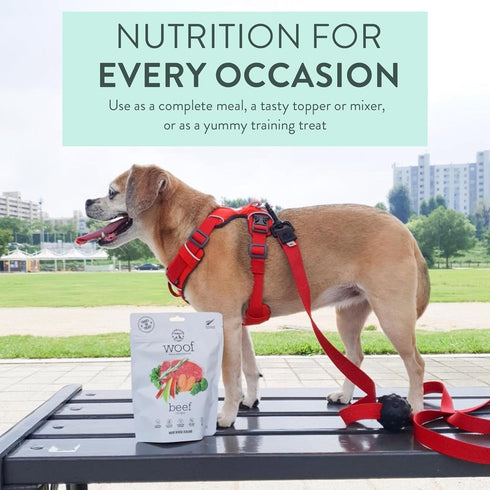 Woof Freeze Dried Dog Food - Beef Recipe, High Protein, Dog Food Topper & Dog Treats, All Life Stages, 1.76 oz...