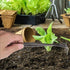 Fdit 2 in 1 Stainless Steel Bonsai Tools Gardening Tool Root Rake Tweezers for Bonsai Planter...