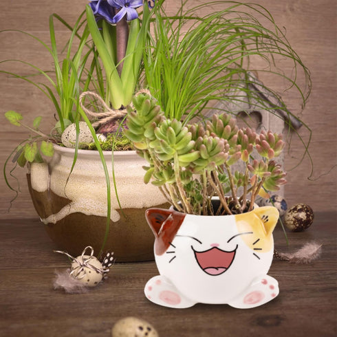 Cute Cat Succulent Plants Pots - Small Ceramic Planter Pots with Drainage Hole,Creative Cactus Flower Plant Pots,for Home Office Desktop House Gar...