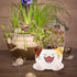 Cute Cat Succulent Plants Pots - Small Ceramic Planter Pots with Drainage Hole,Creative Cactus Flower Plant Pots,for Home Office Desktop House Gar...