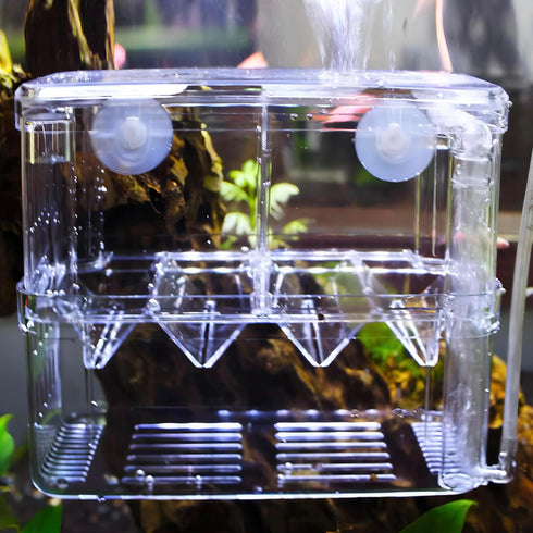 in-Tank Aquarium Breeder Box for Fish Tank, Breeding Incubator for Small Fish Hatchery, Acrylic Divider for Shrimp Clownfish Aggressive Fish Injur...