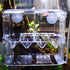 in-Tank Aquarium Breeder Box for Fish Tank, Breeding Incubator for Small Fish Hatchery, Acrylic Divider for Shrimp Clownfish Aggressive Fish Injur...