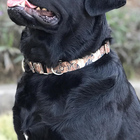 Fabulous Collar with Dogs Who Escape - Hyhug Pets Upgraded Escape Proof Martingale Collar for Dogs Daily Use Walking and Training (Large, Forest)...