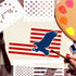 American Flag Stencil, 50 Star Stencils 13 Stars 1776 Templates for American Flag Wood Burning Spray Painting Drawing Craft Projects (Small)...