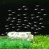 Aquarium Decor Shrimp Shelter Tube Breeding Hiding Cave Holes Ornaments Fish Tank Decorations White...