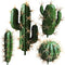 FagusHome Artificial Cactus Decor Faux Cactus Plant Fake Succulents Plants Artificial Cacti 4 Pieces Unpotted Indoor Home Décor Fake Cactus Stems...