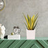 Plant Pots Set of 3 Pack, 5.1" White, Plastic Pots for Plants, Planters for Indoor Plants, Flower Pots, Indoor Planter, Pots for Plants Indoor wit...