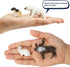 Toymany 14PCS Tiny Polar Animal Figurines, Plastic Arctic Animal Figure Set includes Polar Bear,Caribou,Penguin,Walrus, Wolf Figures, Cake Toppers...