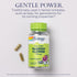 SOLARAY Passion Flower 700 mg Whole Aerial - Soothing Herbal Support - Passion Flower Capsules - Vegan, Non-GMO, 60-Day Guarantee, Lab Verified - ...