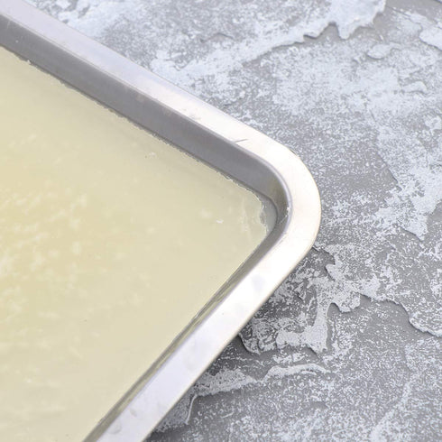 UKCOCO Wax Dissection Tray - Stainless Steel Dissecting Tray Biological Laboratory Equipment for Junior Senior School (18x25cm)...