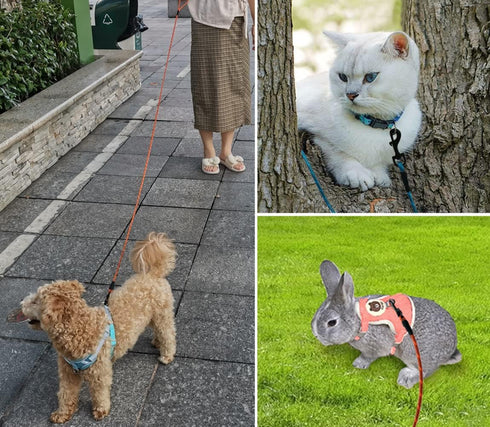 1/5", 1/3" Rope Dog Leash 6 Foot, Lightweight Sturdy Dog Walking Leash with Rotating Metal Clip, Multi-Color Pet Leash for Small Medium Dogs, Cats...