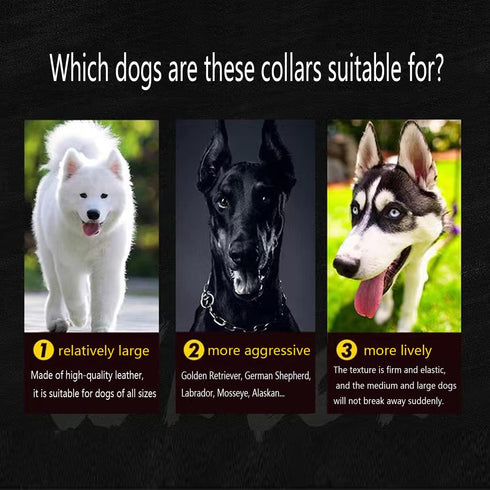 Leather Dog Collar for Medium Dogs Modern Stylish Look Best -Black...