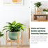 Wood Plant Stand Indoor, Mid Century Modern Indoor Plant Stand, Wooden Plant Holder Bamboo Plant Stand, Modern Flower Pot Stand for Indoor, Outdoo...