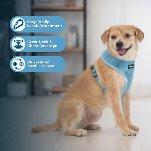 Aerolite No Pull Mesh Dog Harness with Lightweight, Soft, Breathable Chest Coverage, Reflective Stitching, and Adjustable Straps for Walking, Runn...