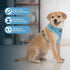 Aerolite No Pull Mesh Dog Harness with Lightweight, Soft, Breathable Chest Coverage, Reflective Stitching, and Adjustable Straps for Walking, Runn...