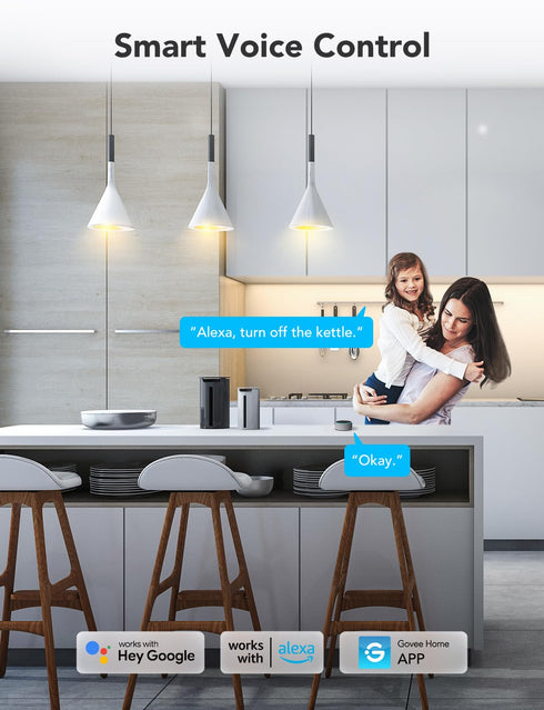 Govee Smart Plug with Energy Monitoring, WiFi Bluetooth Plug Work with Alexa and Google Assistant, 15A Smart Outlets with Timer & Group Controller...