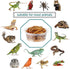 0.5oz Crested Gecko Food and Water Feeding Cups, Reptile Feeder Bowls, Plastic Replacement Food Dish for Lizard and Other Small Pet Ledge Accessor...