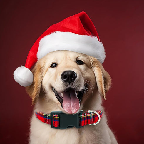 Christmas Plaid Dog Collar, Cute Adjustable Red Collar for Boy and Girl Dogs, Dog Collar with Strong Plastic Buckle - for Small Medium Large Pets,...