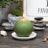 Zest Candle 6-Piece Ball Candles, 3-Inch, Sage Green...