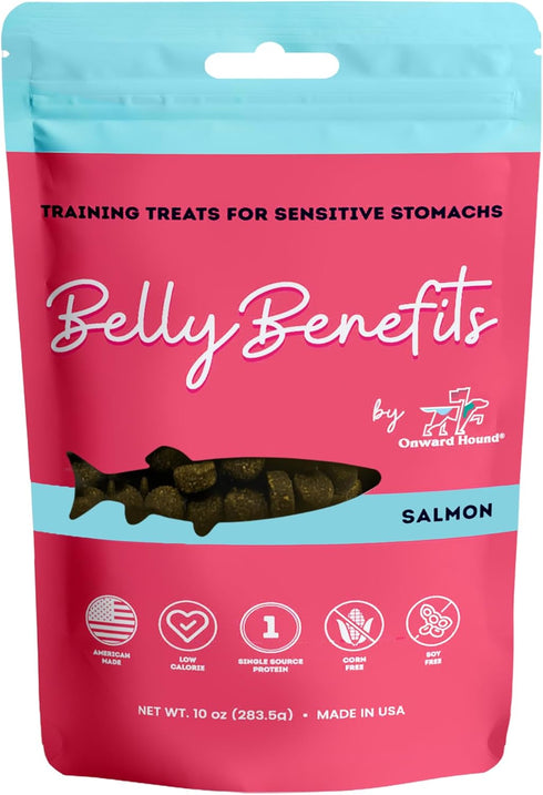 Training Treats for Dogs -Soft Salmon - Low Calorie Dog Training Treats for Sensitive Stomachs with Single Source Premium Protein, Corn Free, & So...