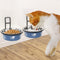Cat Feeder, Wall Mounted, Raised Stainless Steel Bowls with Stand, Nonslip No Spill, 2 Packs (Blue)...