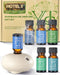 VTS Hotel Scent Essential Oils with Waterless Diffuser, Luxury Hotel Inspired Home Fragrance Aromatherapy Oil Blends 6x10ml, Air Freshener Hotel C...