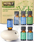VTS Hotel Scent Essential Oils with Waterless Diffuser, Luxury Hotel Inspired Home Fragrance Aromatherapy Oil Blends 6x10ml, Air Freshener Hotel C...