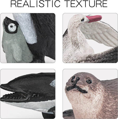 Antarctic Marine Animal Figure Toys Playsets 10 PCS Blue whale, sperm whale, albatross, king penguin, seal Model Toy Desktop Decoration Collection...