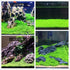 3 Aquarium Plant Se-e-d Combo, no ArtificiaL, Fresh Water Grass for Fish Tank Terrarium Dwarf Carpet,Universal substrate, not Plastic 11aab...