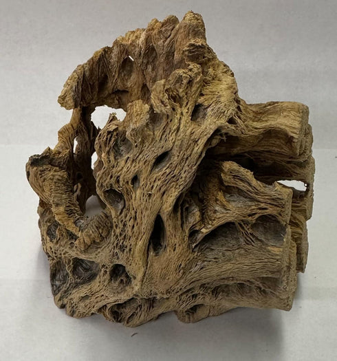 Natural Cholla Wood Chunk Air Plant Display Holders Individually Unique Decorative Stands Holder (Cholla Chunk)...