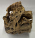 Natural Cholla Wood Chunk Air Plant Display Holders Individually Unique Decorative Stands Holder (Cholla Chunk)...