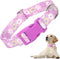 Girl Dog Collar with Purple Floral Patterns, Adjustable Cute Soft Pet Collar with Quick Release Buckle for Small Medium Large XL Dogs (Purple Flow...