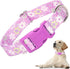 Girl Dog Collar with Purple Floral Patterns, Adjustable Cute Soft Pet Collar with Quick Release Buckle for Small Medium Large XL Dogs (Purple Flow...
