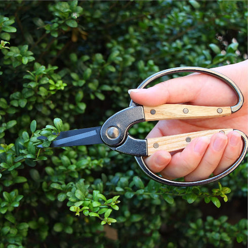 N&V Bonsai Scissors Set, 3 Pcs Set Including Bonsai Scissors, Mini Rake and Mini Shovel, For Arranging Flowers, Trimming Plants, For Grow Room or ...