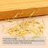 Hypoallergenic Earring Hooks 150 PCS/75 Pairs, Silver Plated Ear Wires Fish Hooks,500pcs Earring Making Kit with Jump Rings and Clear Silicone Ear...