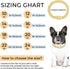Gold dog chain Diamond Gold chain dog collar Walking Metal Chain Collar with Design Secure Buckle Pet Collar Jewelry Accessories dog necklace for ...