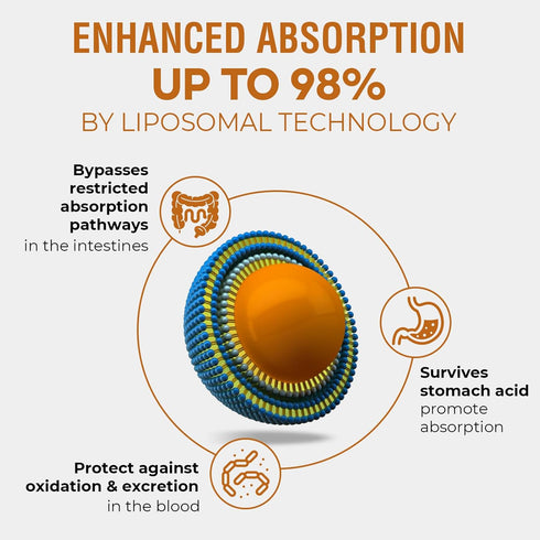 57,000 MG Liposomal Active Rhodiola Rosea Supplement, Rhodiola Root Extract, Liquid for High Absorption, Rhodiola Rosea Root Extract Tincture for ...