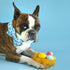 Dog Collar - Easter Day Dog Collar Bows for Dogs Bowtie Cute Bunny Print Adjustable Dog Collar Girl Pet Gift Blue Dog Collar for Medium Small Larg...