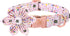 Elegant little tail Birthday Dog Collar, Cute Detachable Dog Collar with Flower, Gift Pet Collar Adjustable Dog Collar for Small Dog...