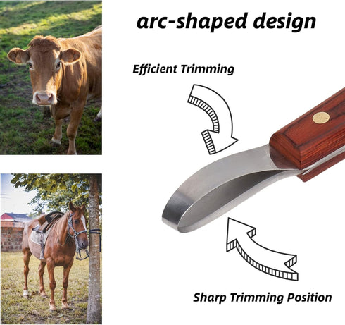 Hoof Knife, Stainless Steel Blade Curved Farrier Horse Hoof Trimmer with Non Slip Rubber Wood Handle, Multipurpose Hoof Loop Trimming Knife, for H...