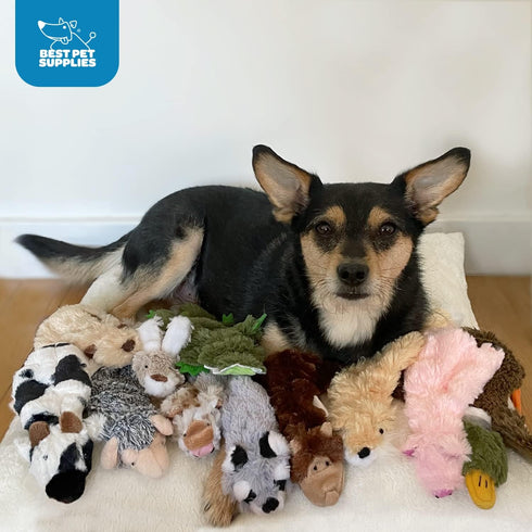 Best Pet Supplies 2-in-1 Stuffless Squeaky Dog Toys with Soft, Durable Fabric for Small, Medium, and Large Pets, No Stuffing for Indoor Play, Supp...