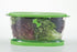 Prep Solutions by Progressive Lettuce Keeper Produce Storage Container, 4.7 Quarts, Green (LKS-06)...