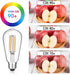 Vintage LED Edison Bulbs 6W, Equivalent 60W Incandescent, Warm White 2700K, ST58 Antique LED Filament Bulbs with 90+ CRI, E26 Medium Base,Dimmable...