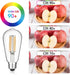 Vintage LED Edison Bulbs, 6W, Equivalent 60W, Dimmable, High Brightness Warm White 2700K, ST58 Antique LED Filament Bulbs with 90+ CRI, E26 Medium...