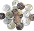 Agoya(Cultural Pearl shell) shell button - thicker than normal size : 36pcs - (40L(1?),25mm...