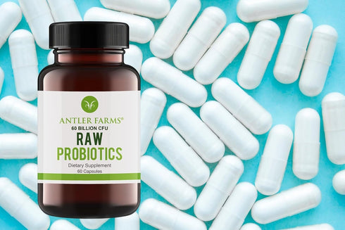 Antler Farms - Raw Probiotics 60 Billion CFU, 60 Capsules, Prebiotics & Probiotics Enzymes, Shelf Stable, Digestive & Immune Health, Vegan, Non-GM...