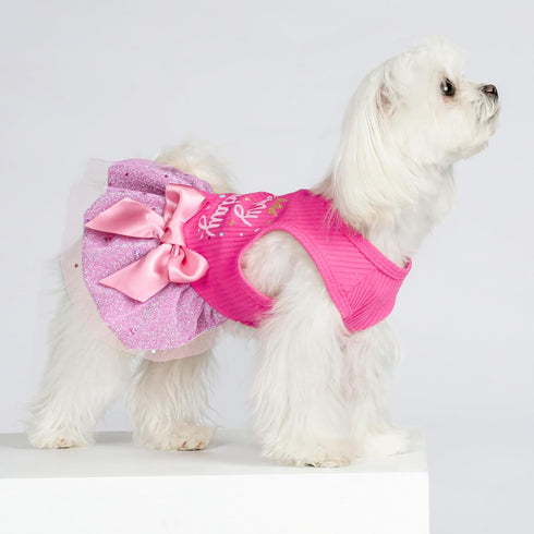 Fitwarm It's My Birthday Dog Dress, Dog Birthday Dress with Bowknot, Dog Clothes for Small Dog Girl, Funny Dog Clothes, Pet Cat Outfit, Pink, Larg...
