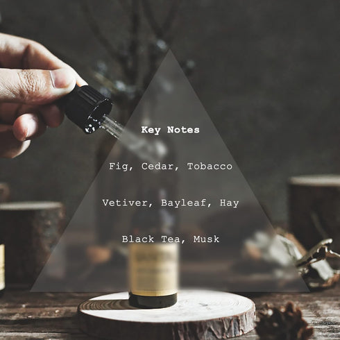 Noir Diffuser Oil, Niche Scent, Luxury Fig, Bay Leaf, Cedar, Vetiver, Musk, Tobacco, Black Tea Essential Oils Blend for Ultrasonic Diffuser Scent ...