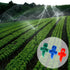 Micro Atomizing Garden Sprinkler Nozzle, 90/180/360 Degree Refraction Micro Water Spray Misting Nozzle for Garden Lawn Water Spray Misting Sprinkl...